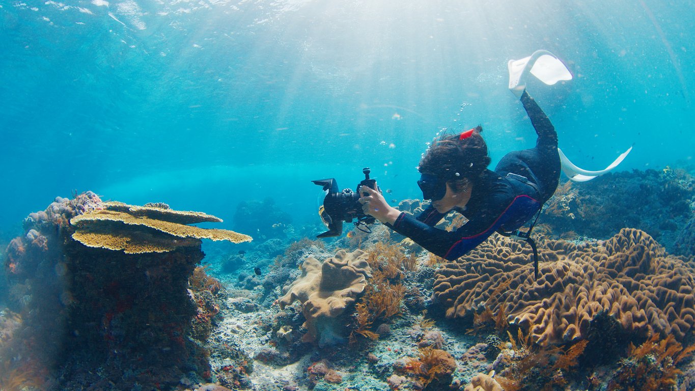 Underwater photographer takes pictures of the healthy coral reef. Freediver with camera swims over the reef. Nusa Penida, Bali, Indonesia